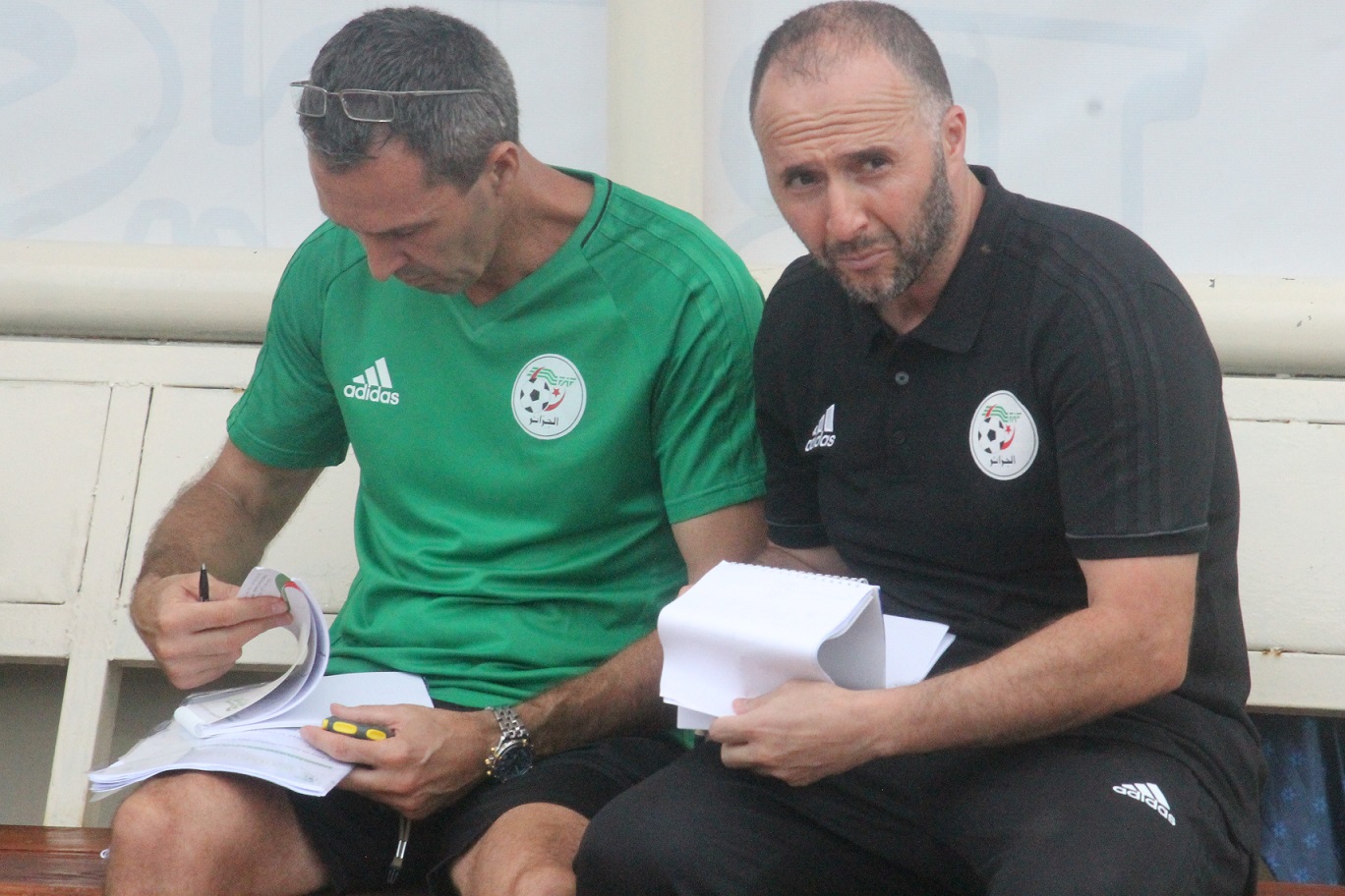 بلماضي يطرد لاعبا من معسكر منتخب الجزائر بسبب فيديو لا أخلاقي