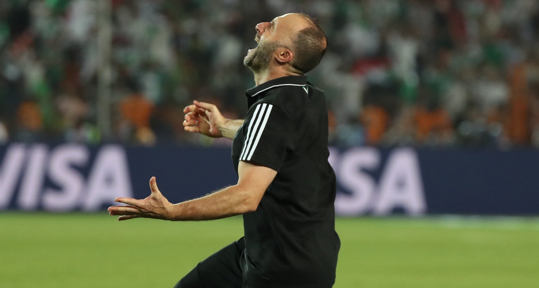 إعفاء بلماضي من تدريب منتخب المحليين الجزائري