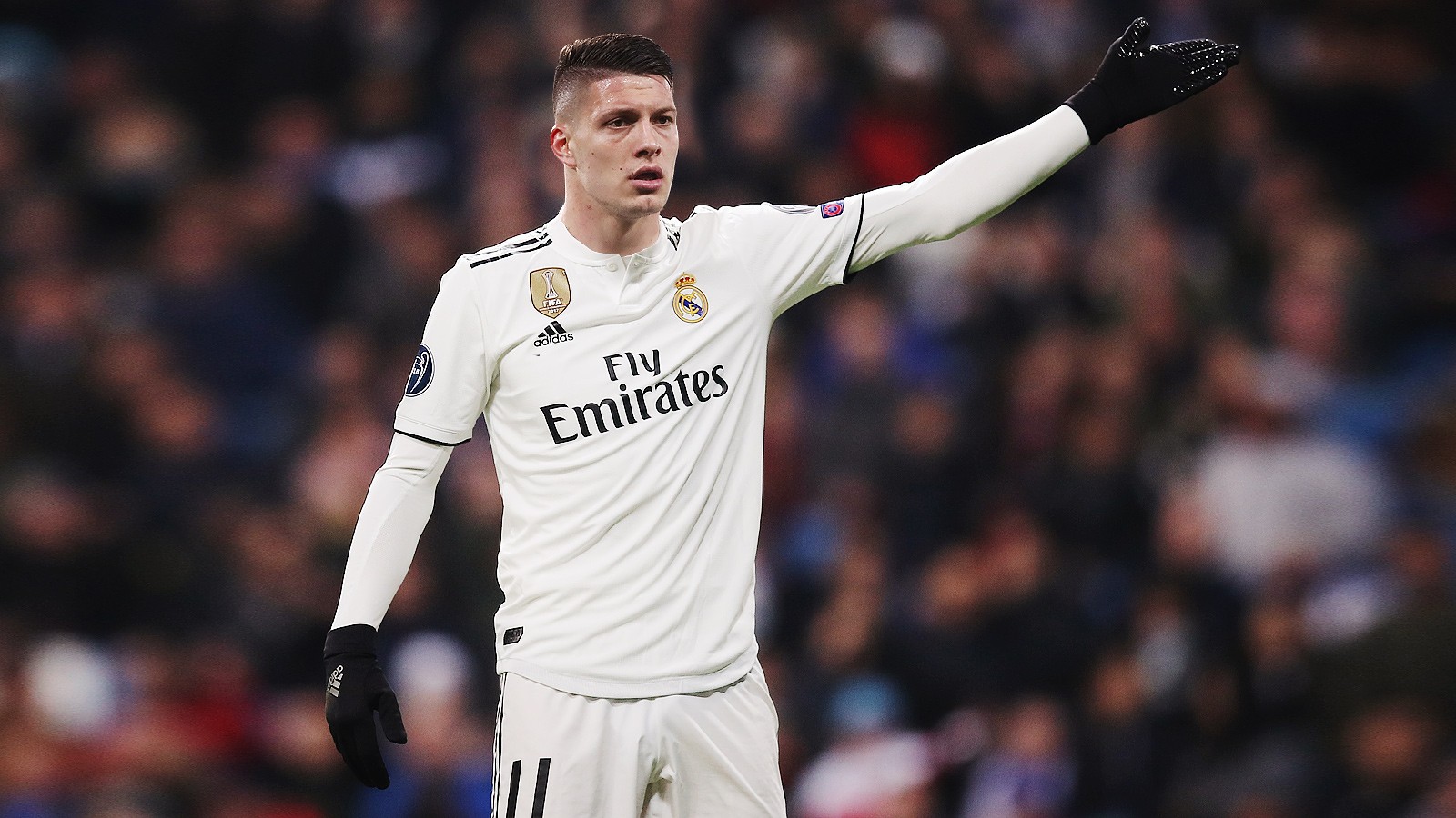 udpXHkEAiXOKFi4I6kCibfzCfEWhWR42A3bsvbv2 يوفيتش يمثُل أمام المحكمة من أجل الإدلاء بأقواله